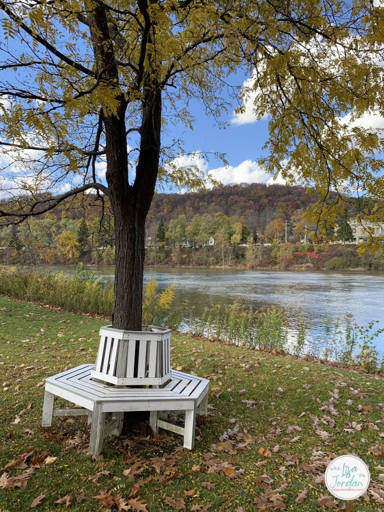 tree bench