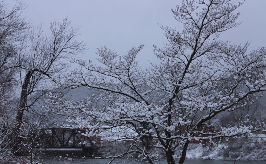 Metal rail road trestle in winter over a river. Snow on tree limbs