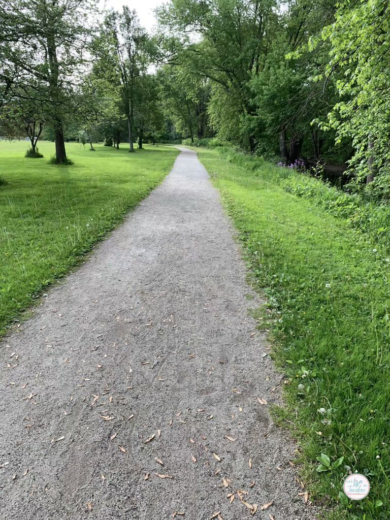 Walking path in the park